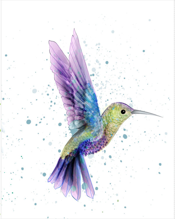 colibri