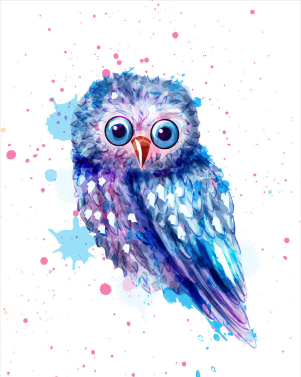 owl