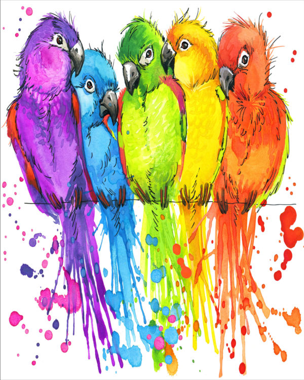 parrots