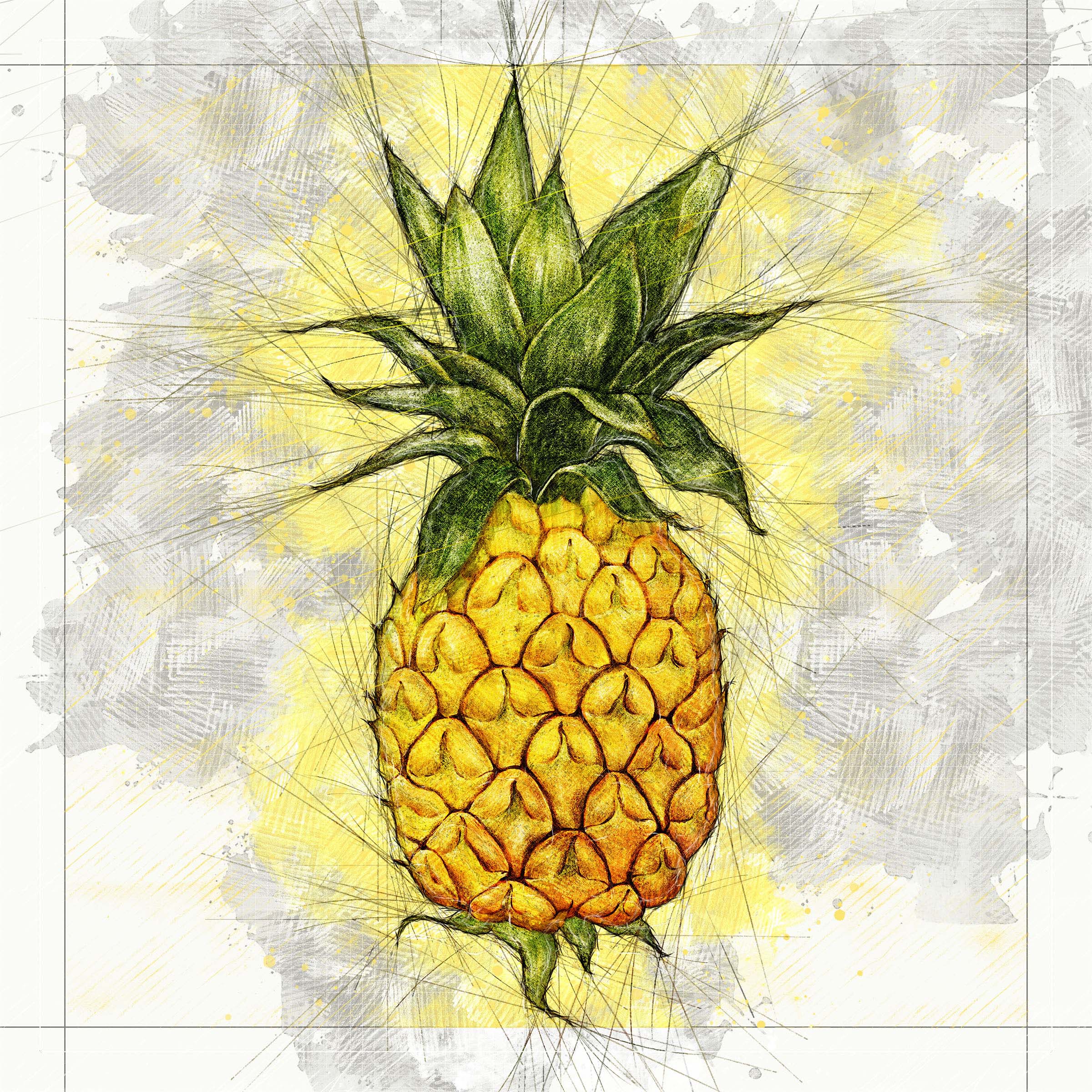Pineapple pencil drawn sketch, illustration tropical fruit Stock Photo -  Alamy